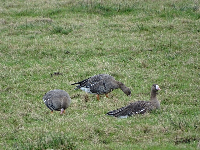 旺达怒喷伊卡尔迪：女儿生日被你毁了，没有你她们也什么都不缺